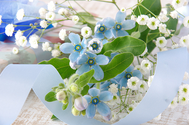 母の日の花 ブルースターの花束｜母の日におすすめな花の種類！感謝が伝わる花言葉・カーネーション以外のおしゃれな花2025