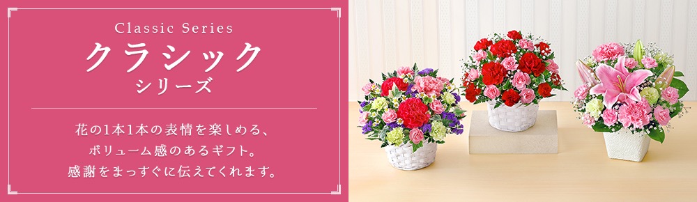 “グラマラス”シリーズ