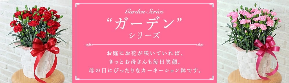 クラシック” シリーズ