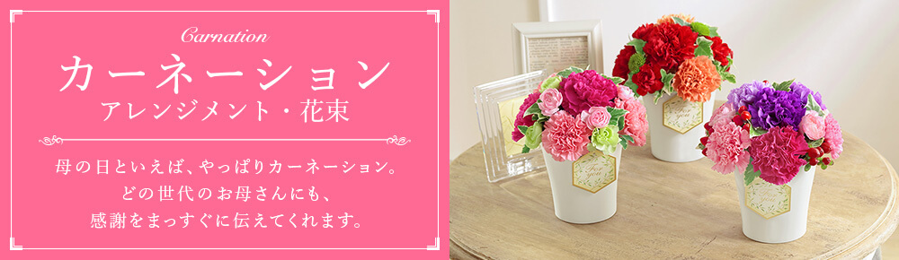 カーネーション アレンジメント・花束