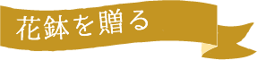 2019 母の日 お母さんに育てる楽しみを贈る