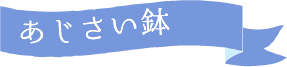 母の日 産直あじさい鉢