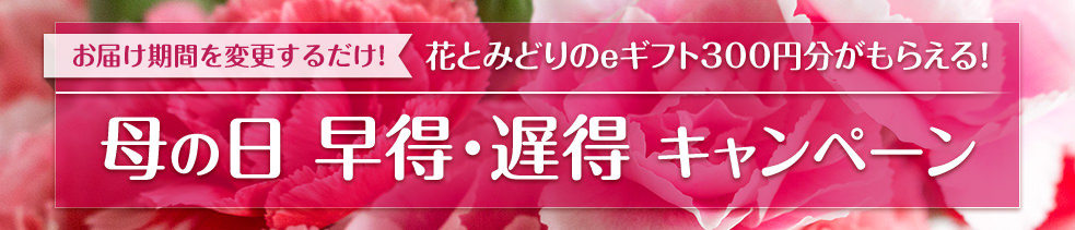 母の日 早得・遅得キャンペーン