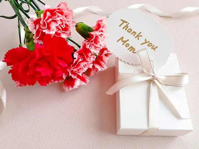 赤いカーネーションとプレゼントボックス