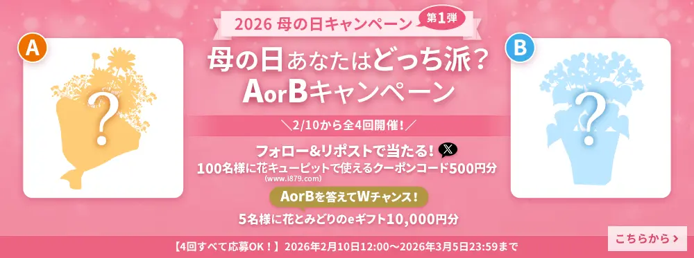 花キューピットの母の日キャンペーン第１弾～母の日あなたはどっち派？AorB～