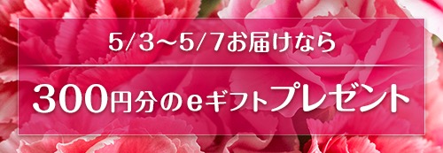 母の日 早得・遅得キャンペーン