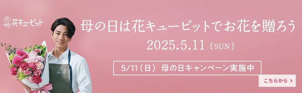 母の日プレゼントキャンペーン