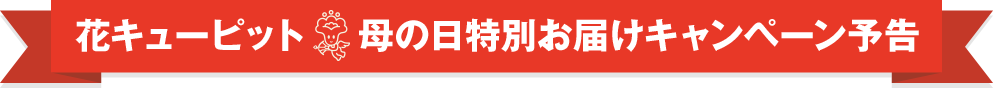 花キューピット母の日特別お届けキャンペーン予告