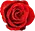 バラ