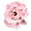 トルコキキョウ
