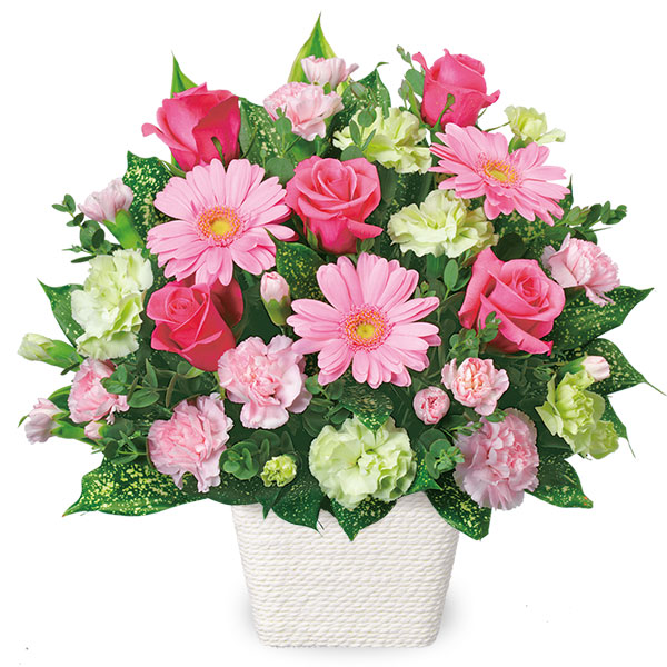 【3月の誕生花（ピンクガーベラ）】ピンクガーベラのアレンジメント