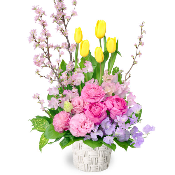 【ひな祭り】チューリップと桜のアレンジメント 511694 ｜花キューピットの2020ひな祭り特集