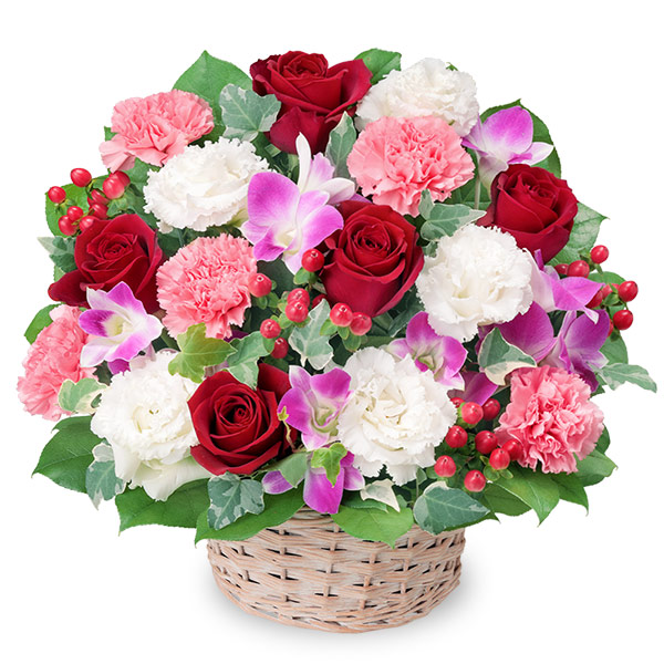 【バラ特集】赤バラとデンファレのアレンジメント） 512489 ｜花キューピットのバラ特集プレゼント特集2022