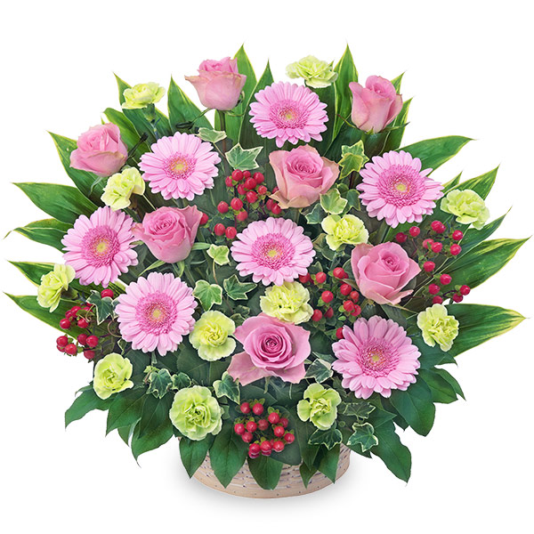 【お誕生日祝い(法人）】ピンクバラとピンクガーベラのアレンジメント