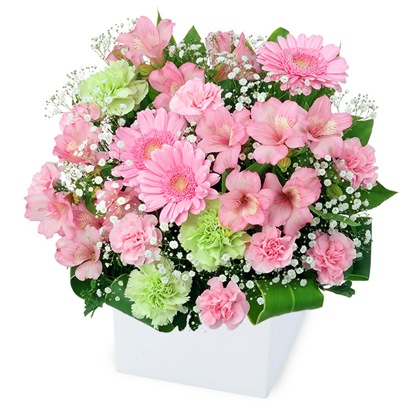 【4月の誕生花（アルストロメリア）】ピンクアルストロメリアのキューブアレンジメント