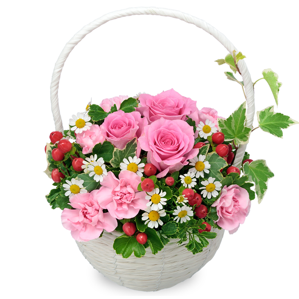 【バラ特集】ピンクバラのナチュラルバスケット 512524 ｜花キューピットのバラ 花のギフト・プレゼント特集2024