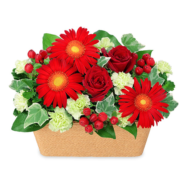 【冬の花贈り特集】赤バラのスクエアバスケット 512597 ｜花キューピットの冬の花贈り 花のギフト・プレゼント特集2022