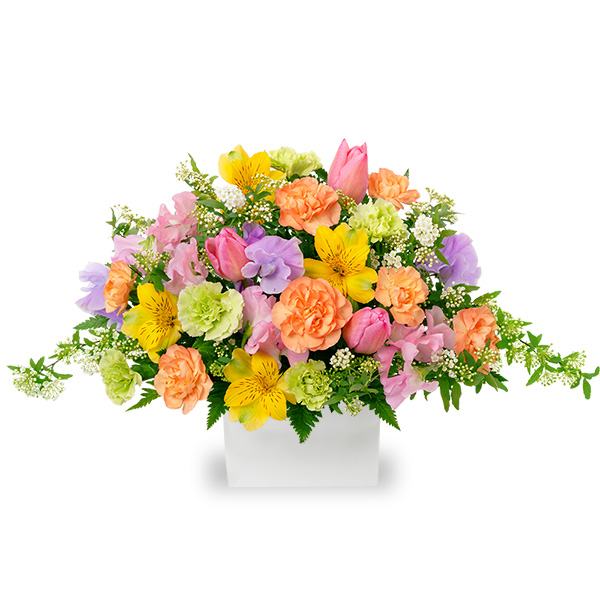 【誕生日フラワーギフト】春の花のキューブアレンジメント