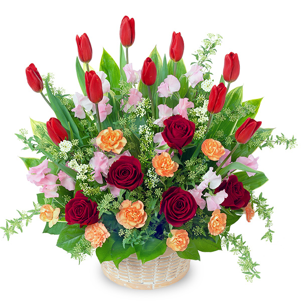 【誕生花 2月（チューリップ）(法人）】赤チューリップの華やかアレンジメント