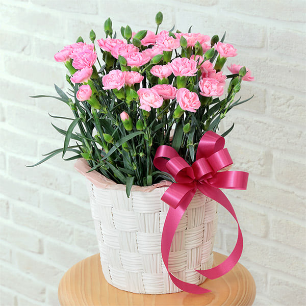 母の日に、息子から花束や花鉢のプレゼント。お母さんの本音は？