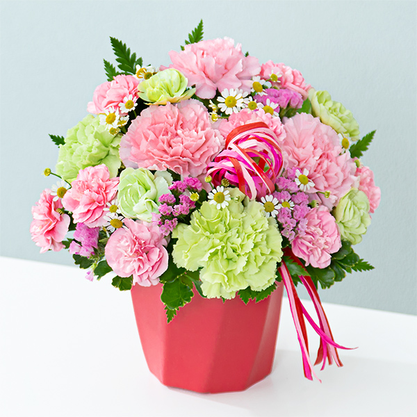 【母の日ギフト（法人）】カーネーションのハミングアレンジメント（ピンク）