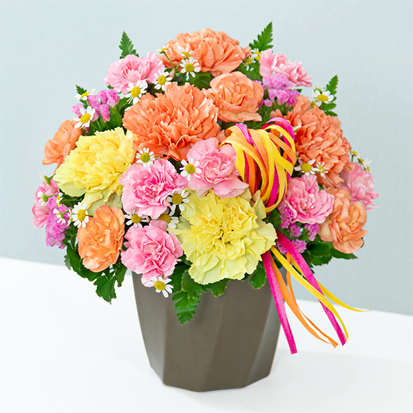 【母の日ギフト（法人）】カーネーションのハミングアレンジメント（オレンジ）