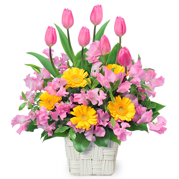 【お祝い(法人）】チューリップと春の花のアレンジメント
