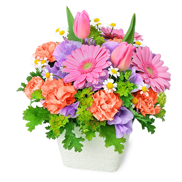 【3月の誕生花（ピンクガーベラ）】春のガーデンアレンジメント