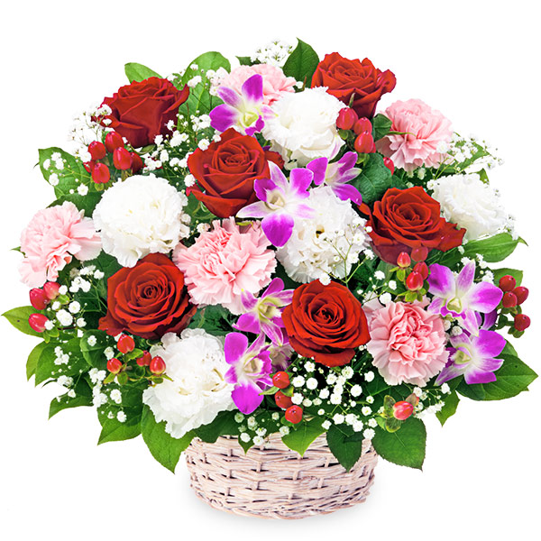 【還暦祝い・長寿祝い】赤バラとデンファレのアレンジメント
