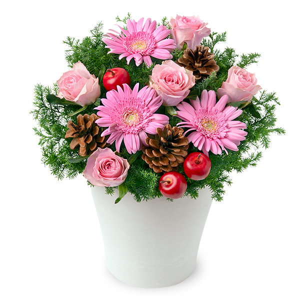 【クリスマスフラワー ランキング】ピンクバラのウィンターアレンジメント