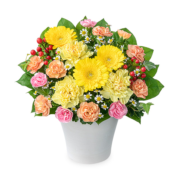 【卒園卒業・入園入学祝い】イエローガーベラのミックスアレンジメント