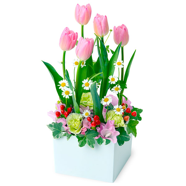【チューリップ特集】ピンクチューリップのガーデンアレンジメント