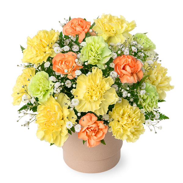 【ペット用フラワーギフト・お供え】ペットのお供えのアレンジメント