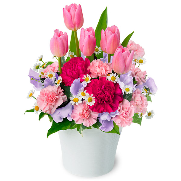 【成人の日】ピンクチューリップのキュートなアレンジメント