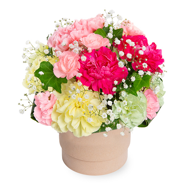 【ペット用フラワーギフト・お供え】ペットのお供えのアレンジメント