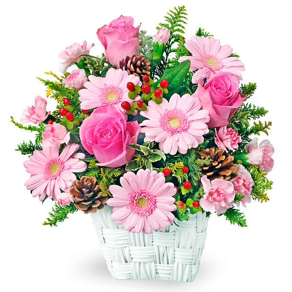 【アレンジメント(法人）】ピンクバラとガーベラのウィンターアレンジメント