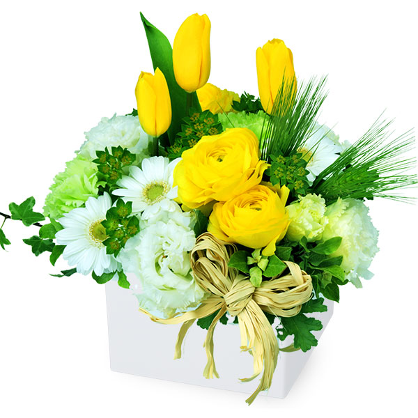 【誕生日フラワーギフト】イエローとホワイトのキューブアレンジメント