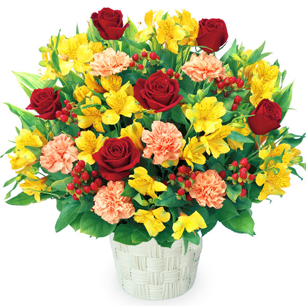 【開店祝い・開業祝い】アルストロメリアの豪華なアレンジメント