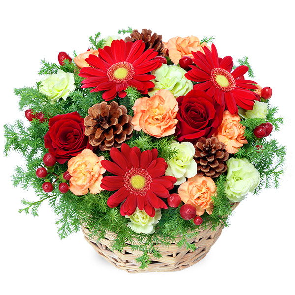 【クリスマスフラワー ランキング】クリスマスのアレンジメント