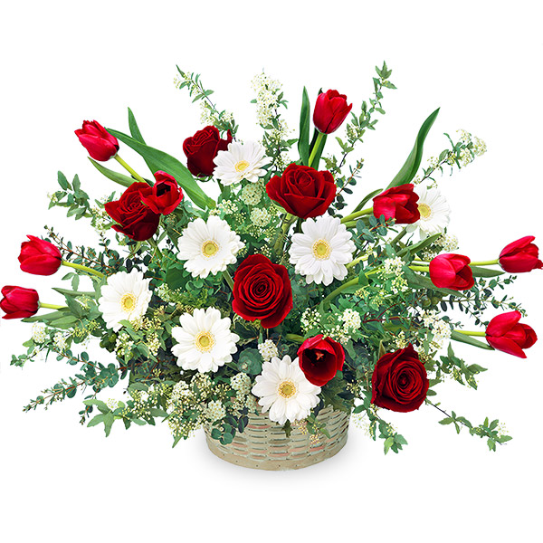 【開店祝い・開業祝い】赤チューリップの豪華なアレンジメント