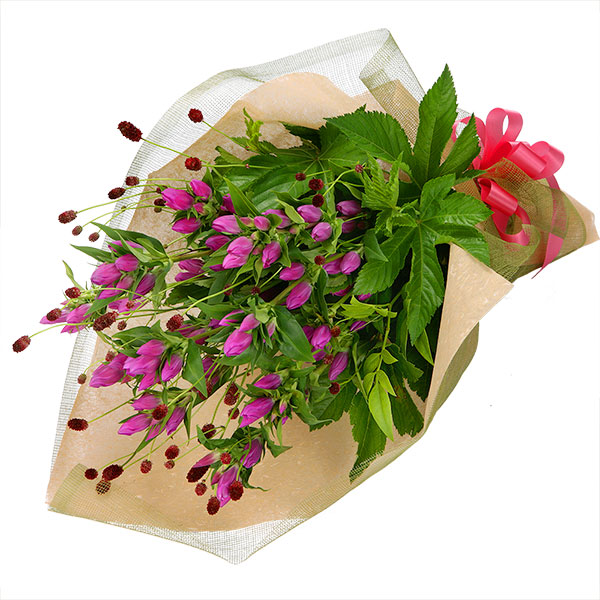 【9月の誕生花（リンドウ）】ピンクリンドウの花束