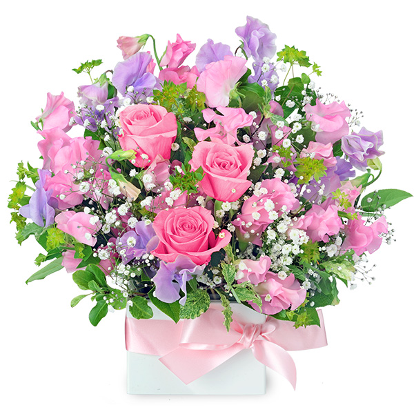 【目上の方に贈る誕生日フラワーギフト】スイートピーのキューブアレンジメント