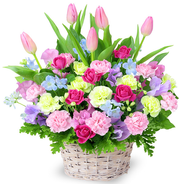 【誕生日フラワーギフト】チューリップのミックスアレンジメント