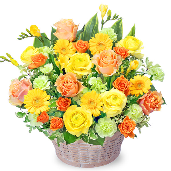 【開店祝い・開業祝い】バラとガーベラのイエローアレンジメント