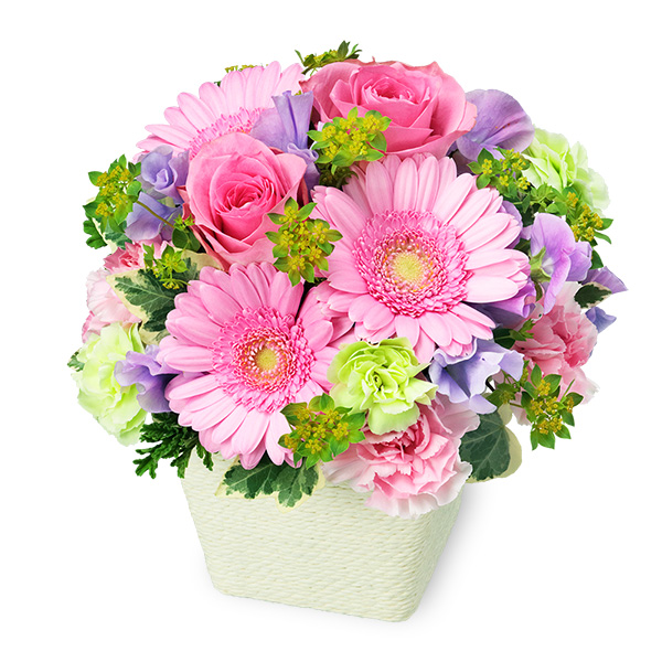 【お見舞い(法人）】ピンクバラのスプリングアレンジメント