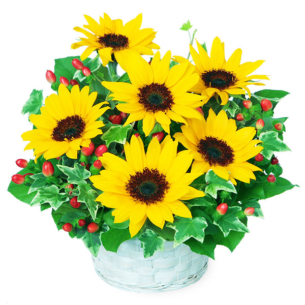 【父の日ギフト ランキング】ひまわりのアレンジメント