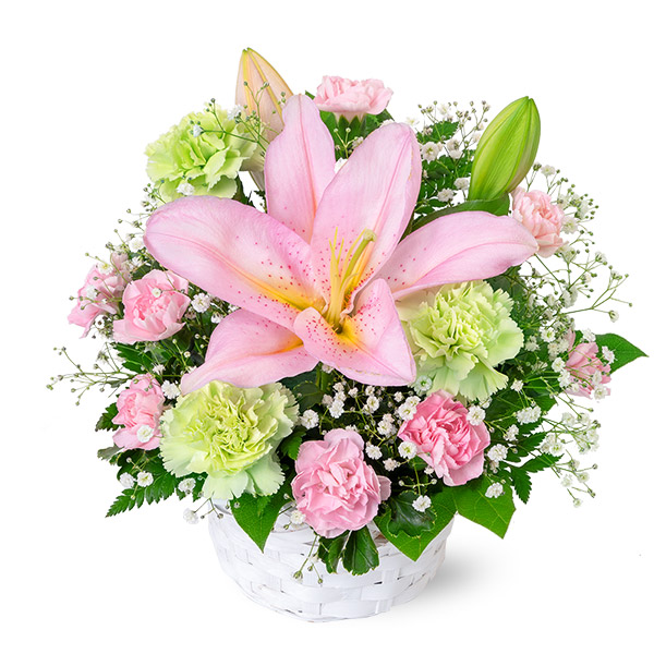 【還暦祝い・長寿祝い】ピンクユリのキュートなアレンジメント