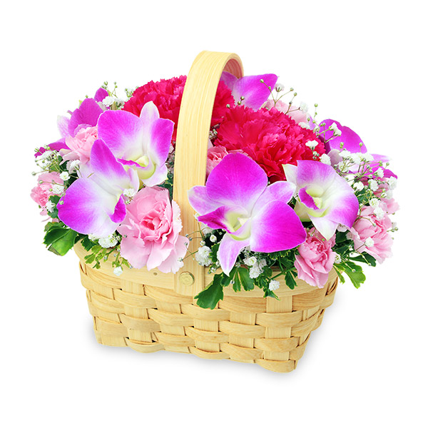 【家族に贈る誕生日フラワーギフト】デンファレのウッドバスケット