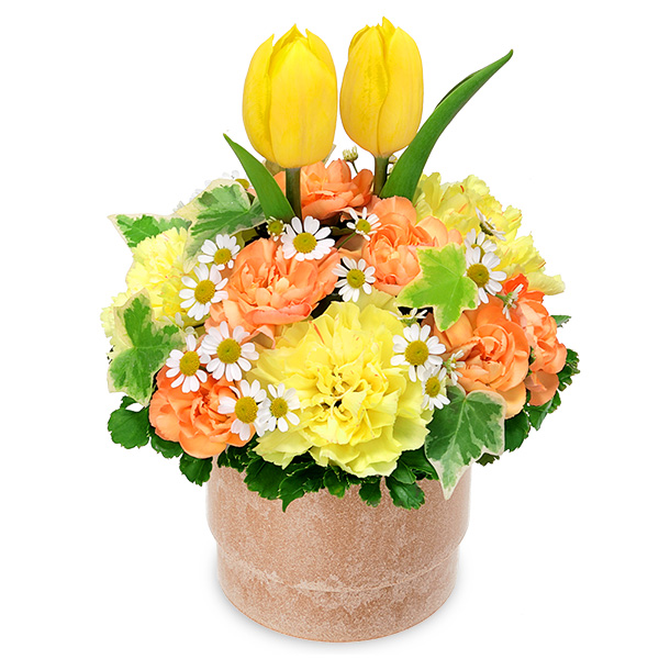 【チューリップ特集】イエローチューリップのミニポットアレンジメント