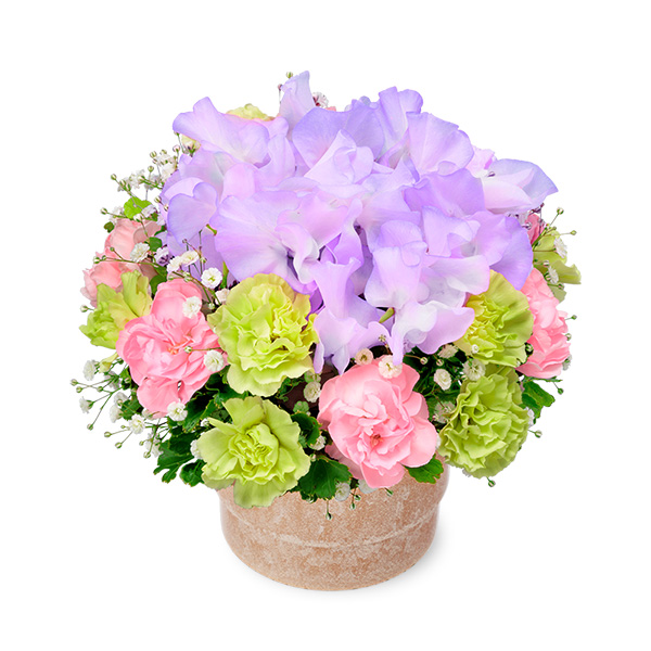 【1月の誕生花（スイートピー）】紫スイートピーのミニポットアレンジメント